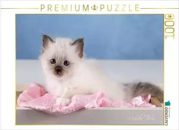 Calvendo Ein Motiv aus dem Kalender Heilige Birma Kitten - ein Traum auf wei&szlig;en Pf&ouml;tchen