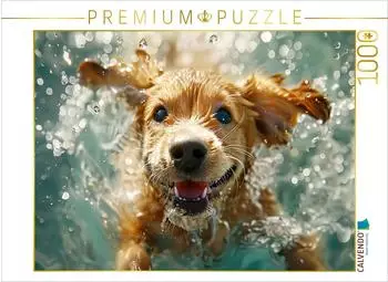 Calvendo Ein Motiv aus dem Kalender Hunde und Wasser