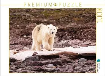 Calvendo Eisb&auml;r