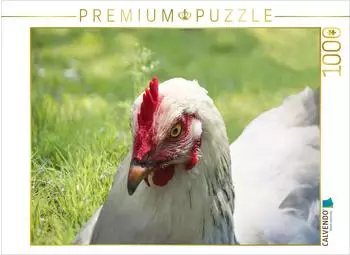 Calvendo Gl&uuml;ckliche Freilandh&uuml;hner