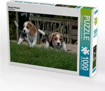 Calvendo Beagle-Welpen