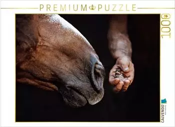 Calvendo Pferdemaul k&uuml;sst Vogelbaby