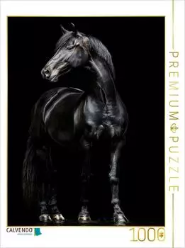 Calvendo Schwarze Eleganz - Pferde Rappe
