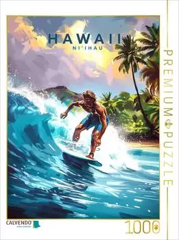 Calvendo Surfspot Niihau