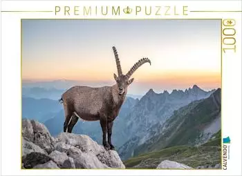 Calvendo Der K&ouml;nig und sein K&ouml;nigreich