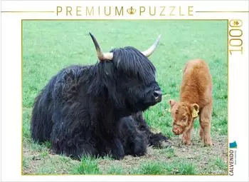 Calvendo Dass eine Mutter mit schwarzem Fell ein braunes Kalb hat, ist keineswegs ungew&ouml;hnlich