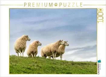 Calvendo Ein Motiv aus dem Kalender Naturerlebnis R&oslash;m&oslash;