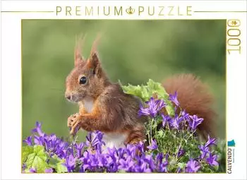 Calvendo Ein Motiv aus dem Kalender Besondere Augenblicke mit Eichh&ouml;rnchen