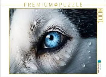 Calvendo Ein Motiv aus dem Kalender Schau mir ins Auge