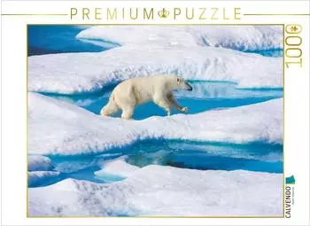 Calvendo Junger Eisb&auml;r springt von Eisscholle zu Eisscholle