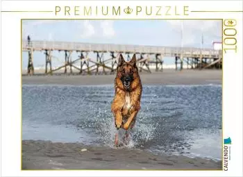 Calvendo Deutscher Sch&auml;ferhund in Sankt Peter-Ording