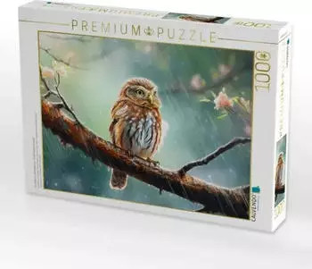 Calvendo Ein Motiv aus dem Kalender Zw&ouml;lf Monate im Wald