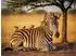 Calvendo Puzzle 