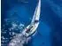 Calvendo Puzzle „Delfine begleiten ein Segelboot