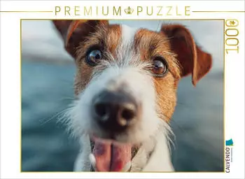 Calvendo Puzzle &bdquo;Frischer Wind und treue Augen" 1000 Teile, 64&times;48cm