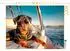 Calvendo Rottweiler - Der Boss an Bord, Puzzle 1000 Teile, 64×48cm