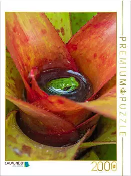 Calvendo Puzzle &bdquo;Bromelien &ndash; Lebensraum f&uuml;r Fr&ouml;sche" 2000 Teile, 90&times;67cm