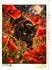 Calvendo Puzzle „Sommerpirsch im Mohnfeld