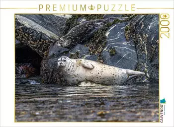 Calvendo Puzzle Robbe an der Felsk&uuml;ste, 2000 Teile, 90&times;67cm
