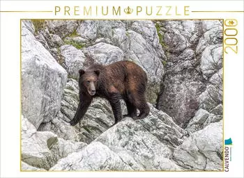 Calvendo Puzzle B&auml;r in der Felslandschaft, 2000 Teile, 90&times;67cm