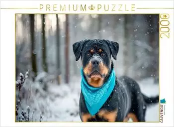 Calvendo Puzzle Rottweiler im Schnee, 2000 Teile, 90&times;67cm