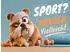 Calvendo Puzzle „Sport? Morgen vielleicht