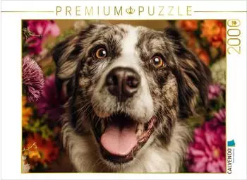 Calvendo Puzzle "Farbenpracht und Hundegl&uuml;ck" 2000 Teile, 90&times;67cm