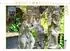 Calvendo Tempelfiguren - Bali Puzzle 1000 Teile, 64×48cm