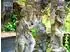 Calvendo Tempelfiguren - Bali Puzzle 1000 Teile, 64×48cm