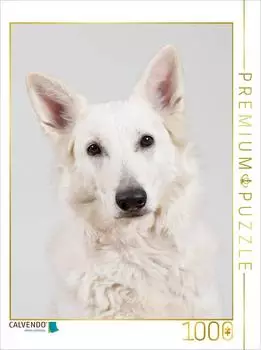 Calvendo Puzzle Berger Blanc Suisse 1000 Teile, 64&times;48cm