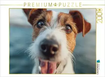 Calvendo Puzzle &bdquo;Frischer Wind und treue Augen" 2000 Teile, 90&times;67cm