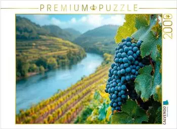 Calvendo Puzzle &bdquo;Sp&auml;tsommer im Weinberg" 2000 Teile, 90&times;67cm
