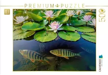 Calvendo Puzzle &bdquo;Im Tanz der Seerosen" 500 Teile, 48&times;36cm