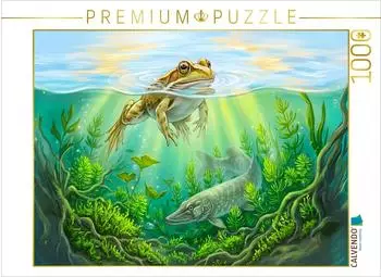 Calvendo Puzzle &bdquo;Frosch schwimmt im klaren Teich, lauernder Hecht" 1000 Teile, 64&times;48cm