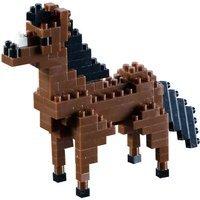 Brixies Pferd