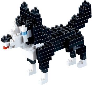 Brixies Husky