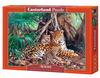 Castorland CAS 300280, Castorland Jaguars in the jungle - Puzzle - 3000 Teile