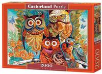 Castorland David Galchutt: Eulen