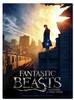 Folkmanis Fantastic Beasts, New York (Puzzle), Spielwaren