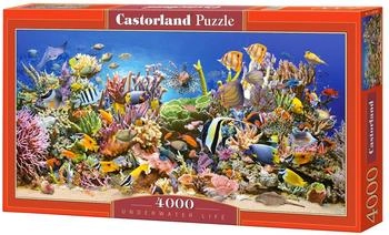 Castorland Unterwasserleben