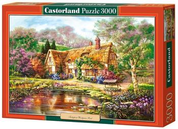 Castorland Twilight at Woodgreen Pond