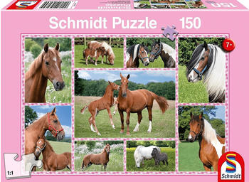 Schmidt-Spiele Pferdeträume 150