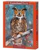 Castorland CAS 52387, Castorland Great Horned Owl - Puzzle - 500 Teile
