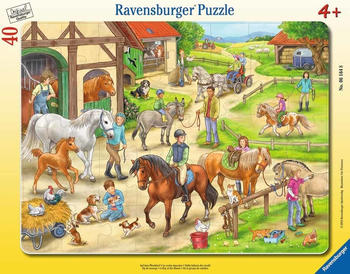 Ravensburger Pferde (06164)