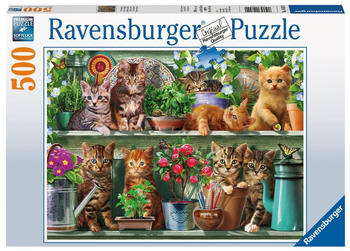 Ravensburger Katzen im Regal