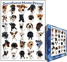 Eurographics Puzzles Hunde-Rassen (1.000 Teile)