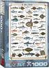 Eurographics 6000-0313 - Seefische, Puzzle, 1.000 Teile, Spielwaren