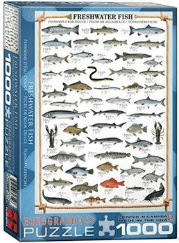 Eurographics Puzzles Süßwasserfische (1.000 Teile)