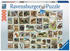 Ravensburger Puzzle Tierbriefmarken 3000 Teile