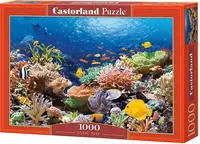 Castorland Korallenriff